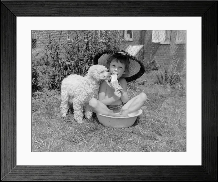 Framed Print : A young boy shares his ice cream with his pet dog as he sits down in a bowl of cold water Framed Print : A young boy shares his ice cream with his pet dog as he sits down in a bowl of cold water