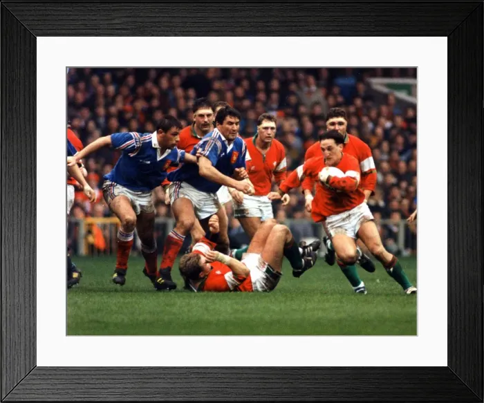Framed Print : Sport - Rugby - Wales 24 v France 15 - 21st February 1994 - Welsh scrum half Rupert Moon Framed Print : Sport - Rugby - Wales 24 v France 15 - 21st February 1994 - Welsh scrum half Rupert Moon