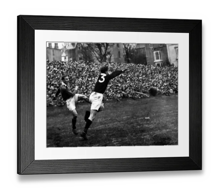 Framed Print : Sport - Rugby - Wales v Scotland - 4th Feb 1950 - A clearance by Welsh full back Lewis