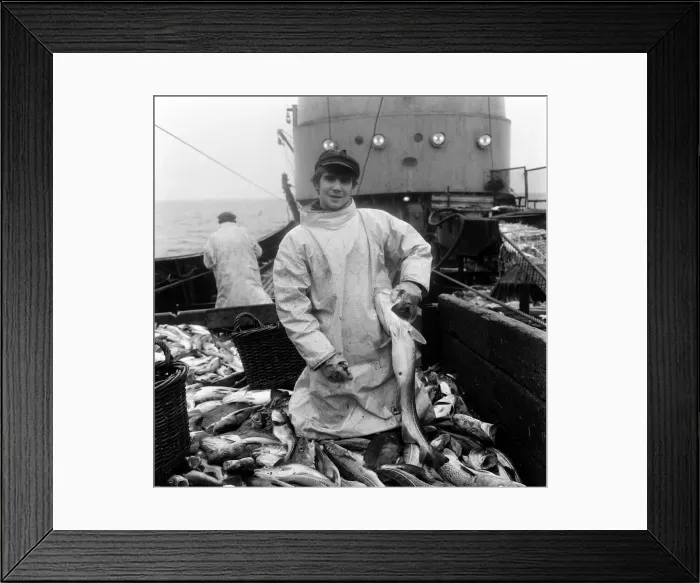 Framed Print : Hull trawler fishermen at work 15th June 1967 Framed Print : Hull trawler fishermen at work 15th June 1967