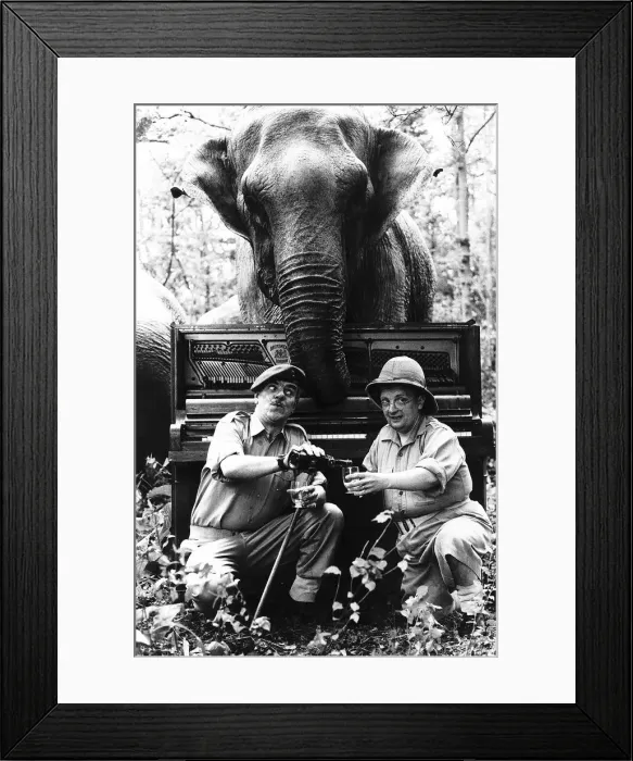 Framed Print : Don Estelle Actor Singer With Fellow Actor Windsor Davies In Windsor Safari Park Dbase Framed Print : Don Estelle Actor Singer With Fellow Actor Windsor Davies In Windsor Safari Park Dbase