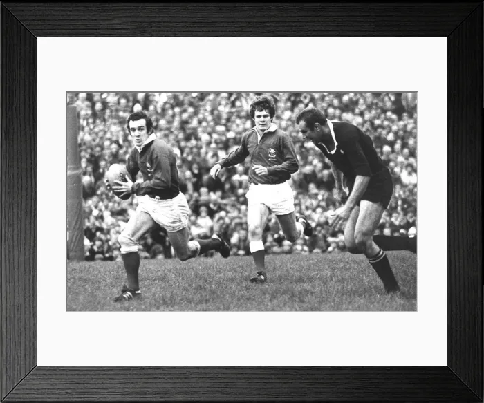 Framed Print : Phil Bennett 1980 action shot Llanelli v New Zealand Framed Print : Phil Bennett 1980 action shot Llanelli v New Zealand