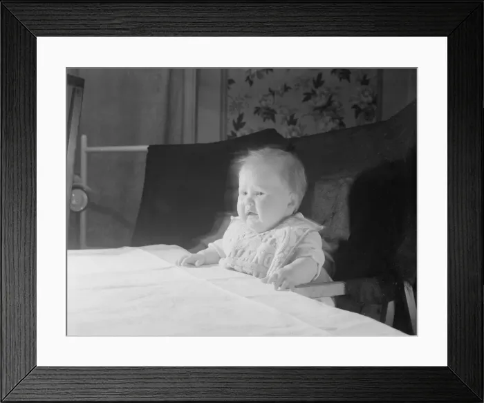 Framed Print : Baby in high chair at table crying. 22nd November 1952 Framed Print : Baby in high chair at table crying. 22nd November 1952