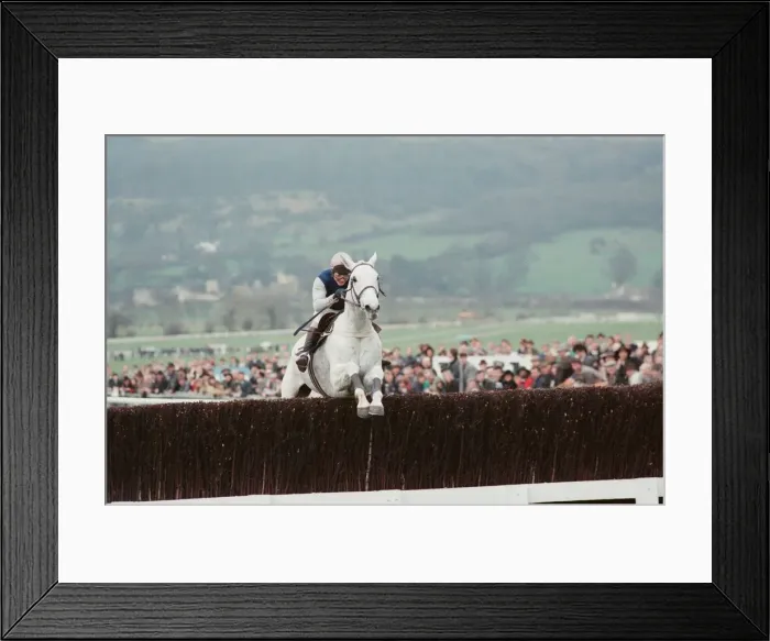 Framed Print : Desert Orchid leads the field in the 1990 Cheltenham Gold Cup 17th March 1990