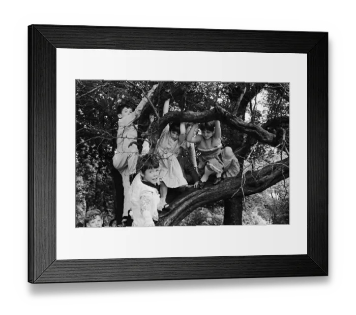 Framed Print : A group of children from Garston, Liverpool enjoy a day out at Sefton Park in the summer Framed Print : A group of children from Garston, Liverpool enjoy a day out at Sefton Park in the summer