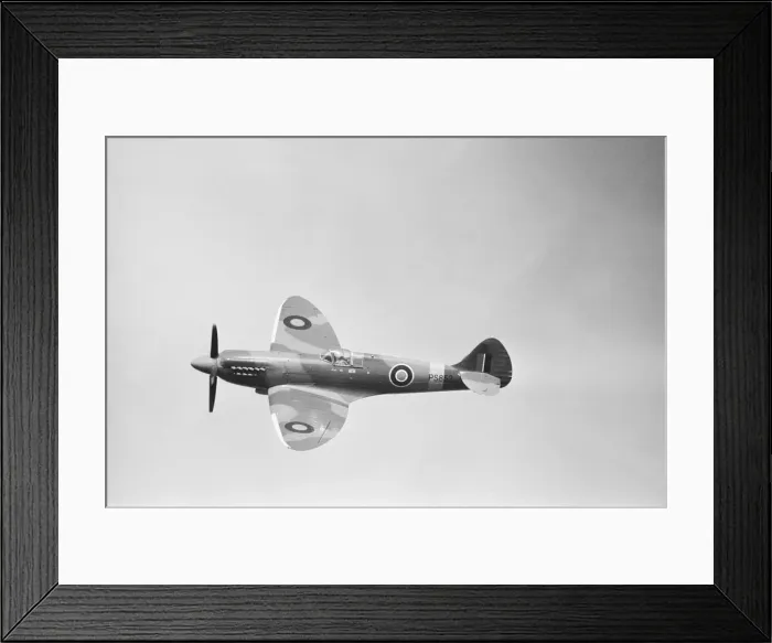 Framed Print : Demonstration by a Supermarine Spitfire MK19 of the Battle of Britain Memorial Flight