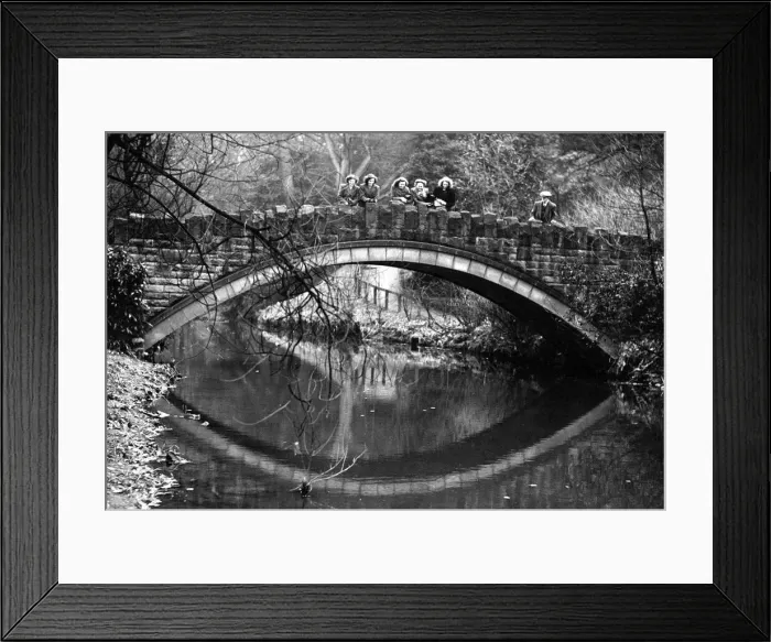 Framed Print : Sometimes known as the Eye Bridge, it proves useful to young ladies as a Framed Print : Sometimes known as the Eye Bridge, it proves useful to young ladies as a