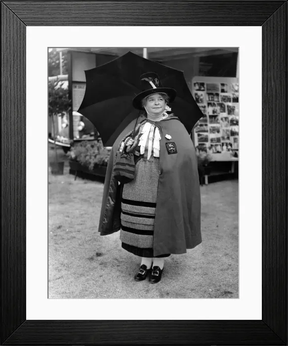 Framed Print : St Davids Day - Picture Gallery - The umbrella may be English-made but the rest of Framed Print : St Davids Day - Picture Gallery - The umbrella may be English-made but the rest of
