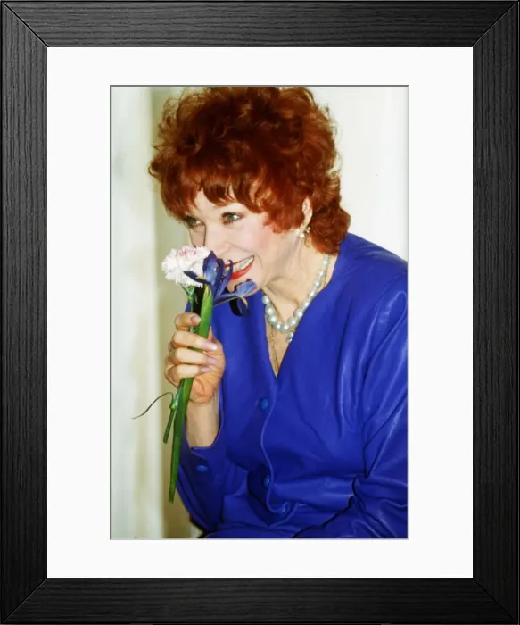 Framed Print : Shirley Maclaine Actress sniffing a flower dbase msi A©Mirrorpix Framed Print : Shirley Maclaine Actress sniffing a flower dbase msi A©Mirrorpix