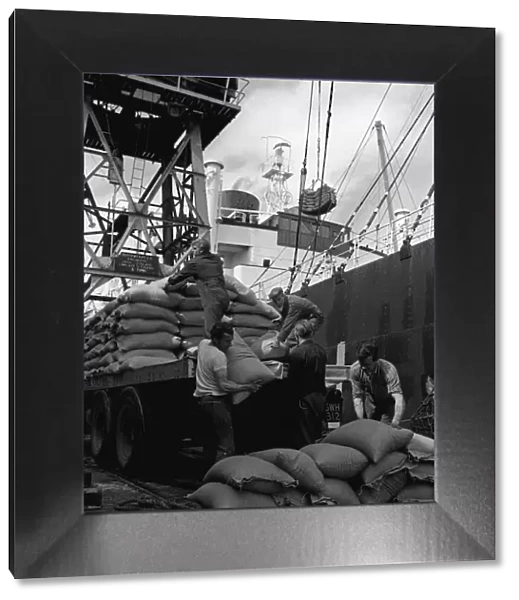 Liverpool Dockers unloading ships in the Dockyards August 1965