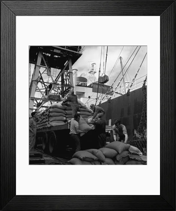 Framed Print : Liverpool Dockers unloading ships in the Dockyards August 1965 Framed Print : Liverpool Dockers unloading ships in the Dockyards August 1965
