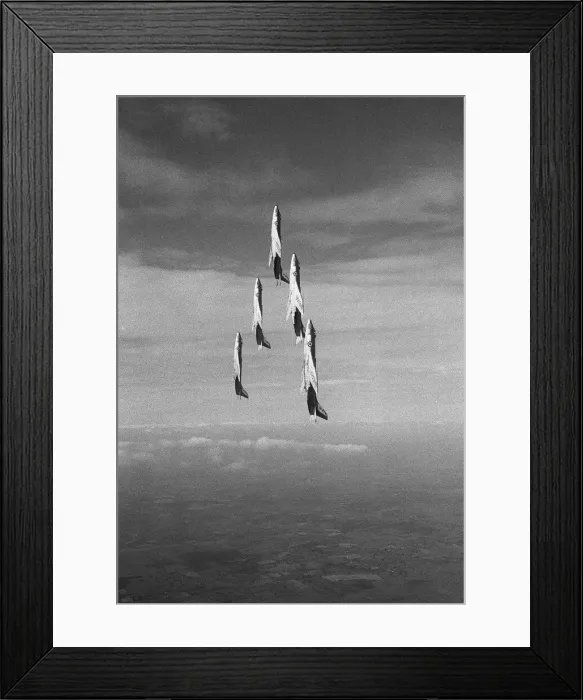 Framed Print : Fleet Air Arm Scimitars go vertical as they climb into a loop in formation during