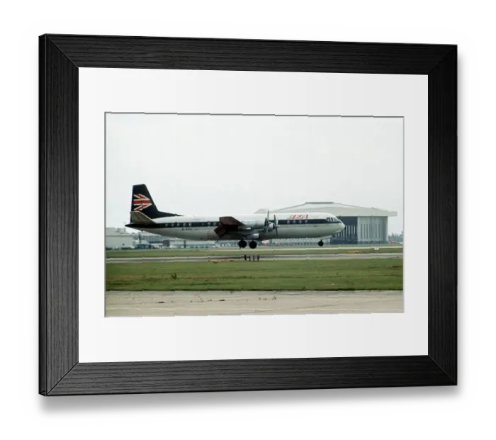 Framed Print : Aircraft Vickers Vanguard lands at Heathrow Airport October 1971 Framed Print : Aircraft Vickers Vanguard lands at Heathrow Airport October 1971