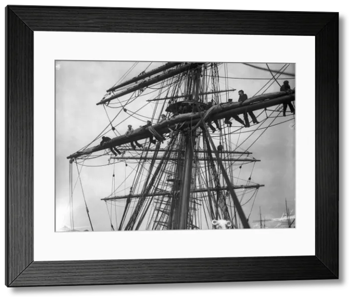 Framed Print : The sailing ship The Terra Nova, used by Captain Scott and his crew for the expedition to Framed Print : The sailing ship The Terra Nova, used by Captain Scott and his crew for the expedition to