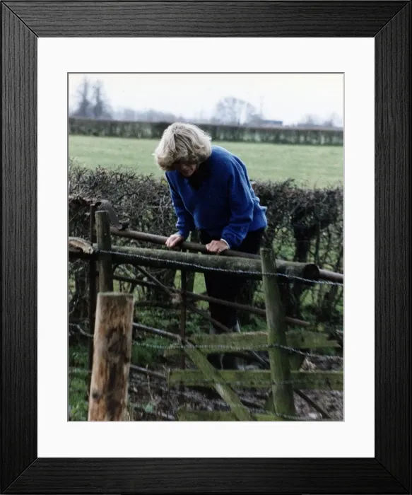 Framed Print : Camilla Parker Bowles leaning over a wooden fence November 1992
