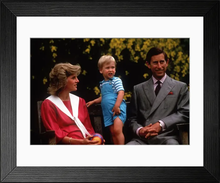 Framed Print : Prince Charles and Princess Diana pose with their son Prince William at a photocall in Framed Print : Prince Charles and Princess Diana pose with their son Prince William at a photocall in