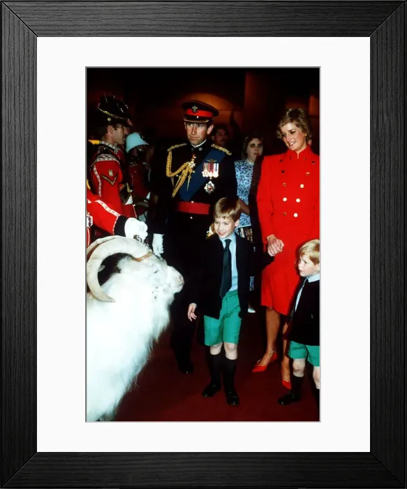 Framed Print : Prince Charles, Princess Diana and Prince William and Prince Harry at the royal Framed Print : Prince Charles, Princess Diana and Prince William and Prince Harry at the royal