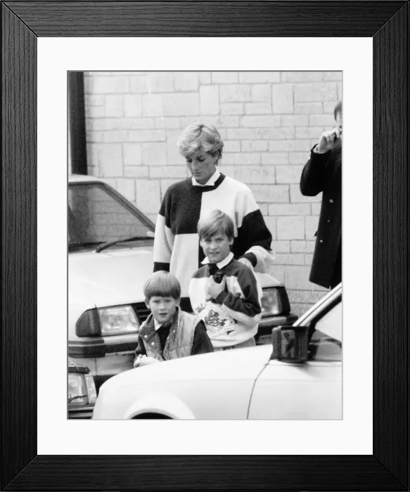 Framed Print : Princess Diana with Prince William and Prince Harry October 1990 Framed Print : Princess Diana with Prince William and Prince Harry October 1990