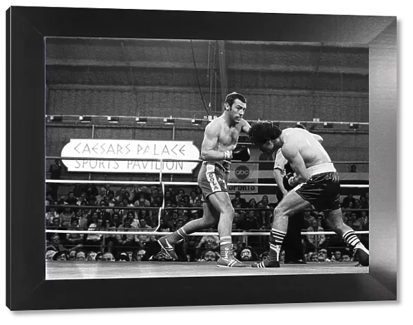 American middleweight boxer Vito Antuofermo in action during the defence of his WBA