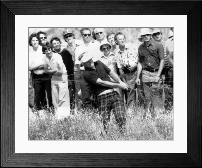 Framed Print : British Open 1976. Johnny Miller thrashes his way out the rough on the 13th during Framed Print : British Open 1976. Johnny Miller thrashes his way out the rough on the 13th during