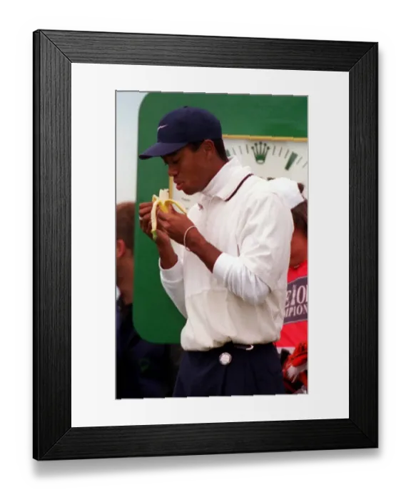 Framed Print : Tiger Woods Golf USA eating a banana at Royal Troon golf course in Scotland Thursday