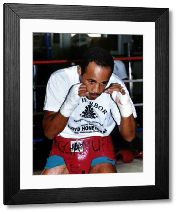 Framed Print : Lloyd Honeyghan Boxer Training inside Ring Framed Print : Lloyd Honeyghan Boxer Training inside Ring