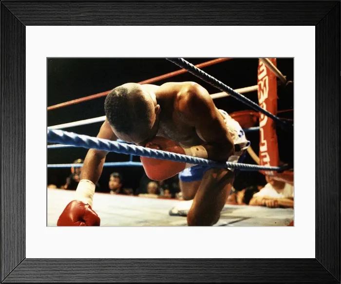 Framed Print : LLoyd Honeyghan Boxing Down for the count on one knee Framed Print : LLoyd Honeyghan Boxing Down for the count on one knee