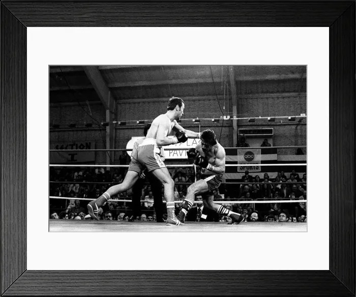Framed Print : American middleweight boxer Vito Antuofermo in action during the defence of his WBA