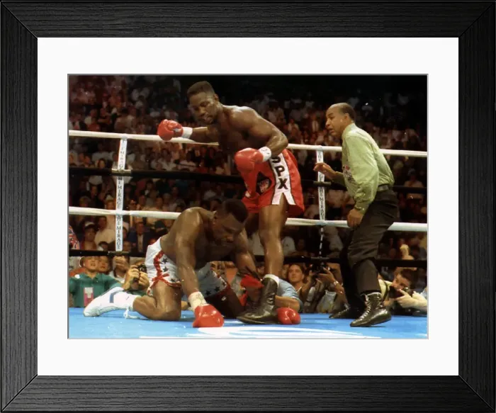 Framed Print : Lennox Lewis British Heavyweight champion in action to defeat challenger Tony Tucker in