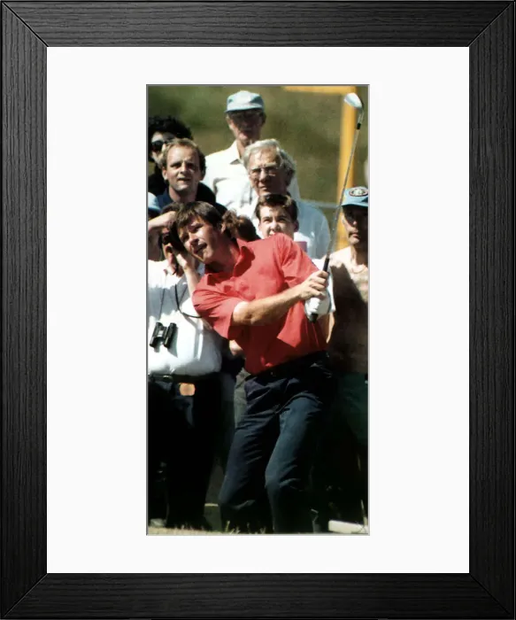 Framed Print : Nick Faldo Golf in action chipping the ball at the British Open Golf championship