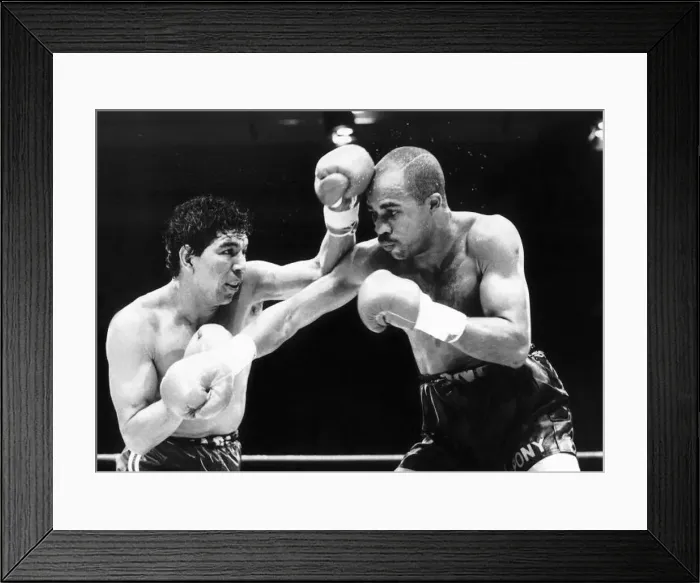 : Lloyd Honeyghan Boxing lost his World Welterweight boxing title to challenger Jorge Varca : Lloyd Honeyghan Boxing lost his World Welterweight boxing title to challenger Jorge Varca