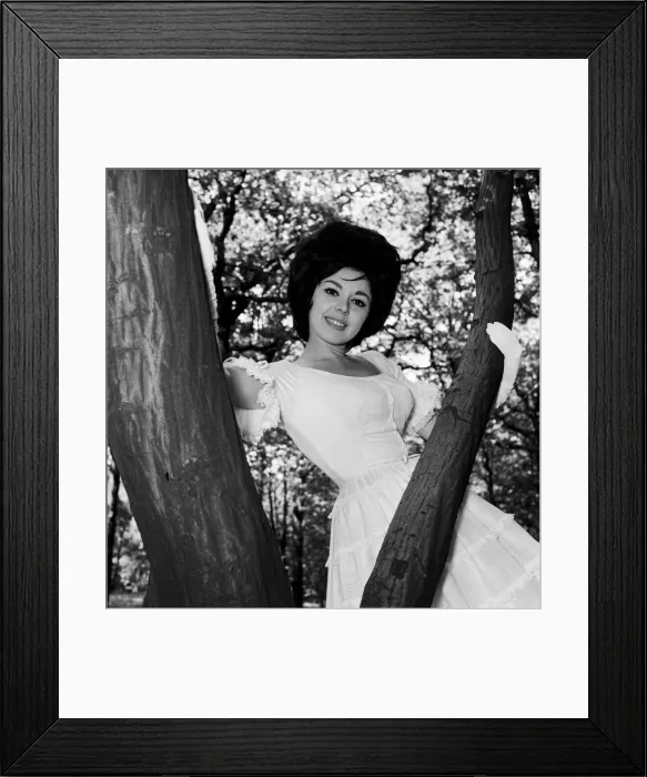 Framed Print : Actress and singer Susan Maughan, aged 20, photographed in a park near her home in Framed Print : Actress and singer Susan Maughan, aged 20, photographed in a park near her home in
