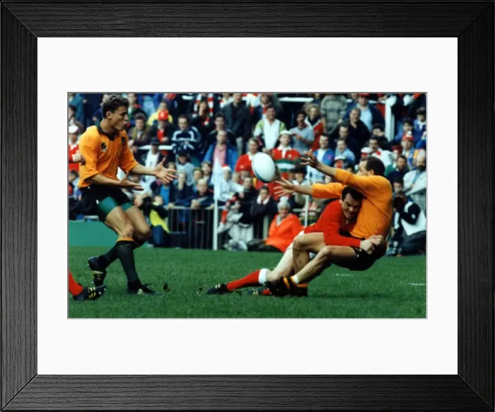 Framed Print : Sport - Rugby - World Cup 1991 - Wales v Australia - Australian David Campese manages a