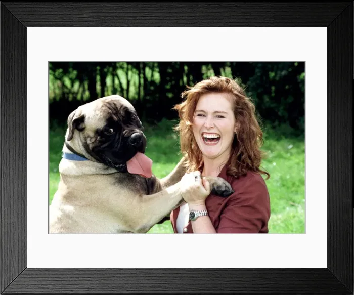 Framed Print : Shauna Lowry TV Presenter with Shamus the Bull Mastive Dog who weighs 10 stone