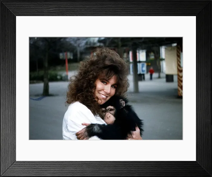 Framed Print : Linda Lusardi Model  /  TV Presenter holding baby monkey January 1990 A©mirrorpix