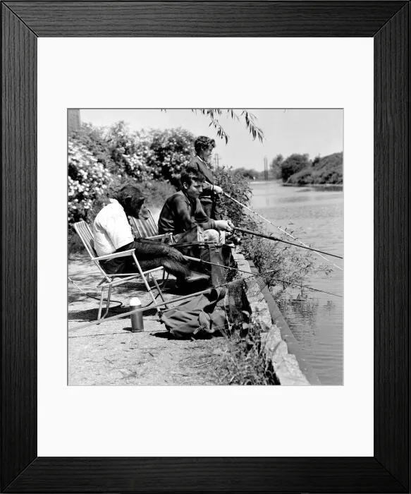 Framed Print : Chimpanzee Charlie, the family favorite from Chipperfields Circus Framed Print : Chimpanzee Charlie, the family favorite from Chipperfields Circus