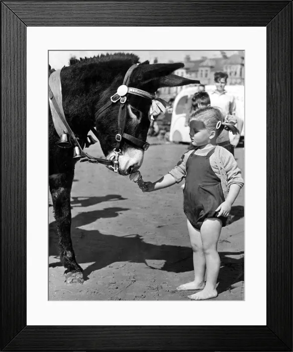 Framed Print : This little girl likes to share and feeds the donkey its ice cream Framed Print : This little girl likes to share and feeds the donkey its ice cream