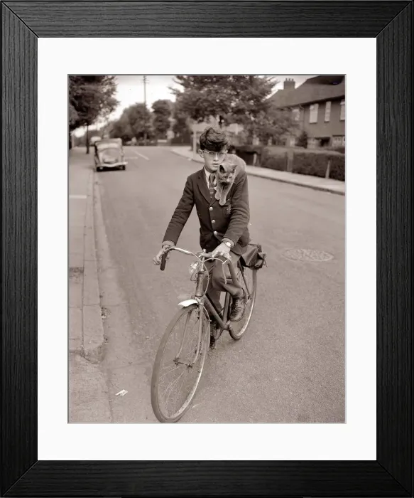 Framed Print : A young schoolboy comes home from school on his bicycle Framed Print : A young schoolboy comes home from school on his bicycle