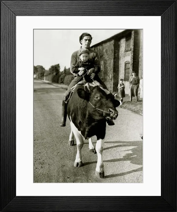 Framed Print : Kenneth Mason takes neighbour Paul Raby (3) for a ride on William the pedigree Friesian