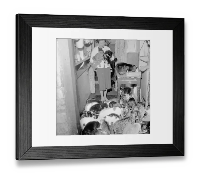 Framed Print : 63 cats in one house with owner May 1962 1960s