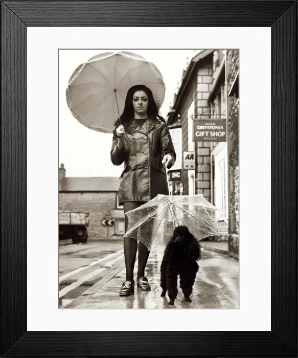 Framed Print : Rikki the Poodle Dog with its own umbrella, walking down the road with owner