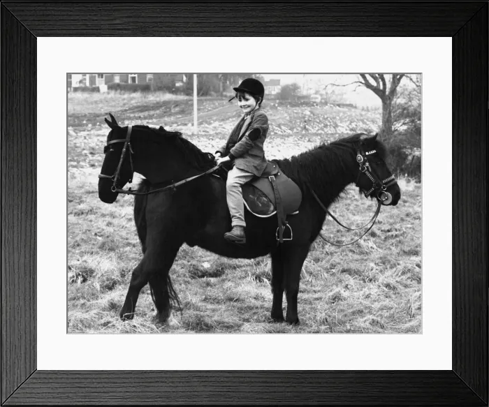 Framed Print : Two Headed Pony A little girl sits on what seems to be a two headed pony Framed Print : Two Headed Pony A little girl sits on what seems to be a two headed pony