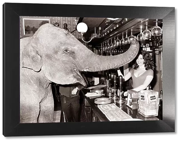 An elephant puts in his regular order at the pub circa 1971