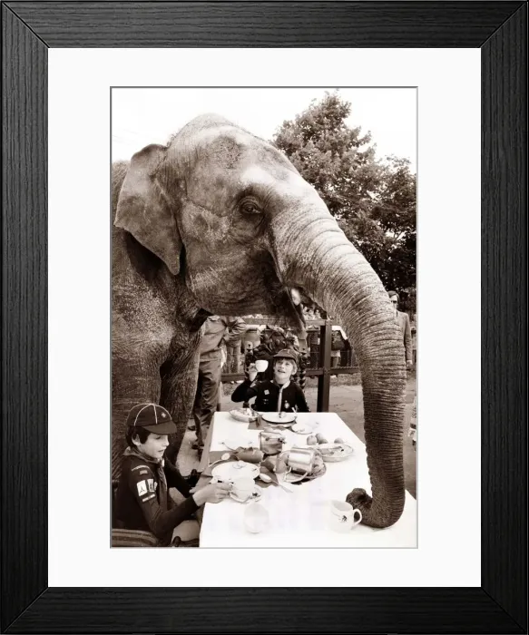 Framed Print : An elephant sits down to dinner with some boy scouts Framed Print : An elephant sits down to dinner with some boy scouts