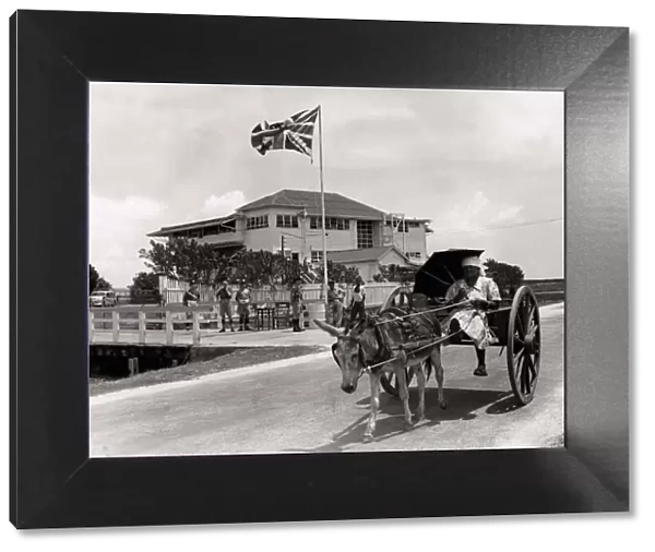 A woman driving a donkey and cart past the Carib Hotel Georgetown British Guiana where