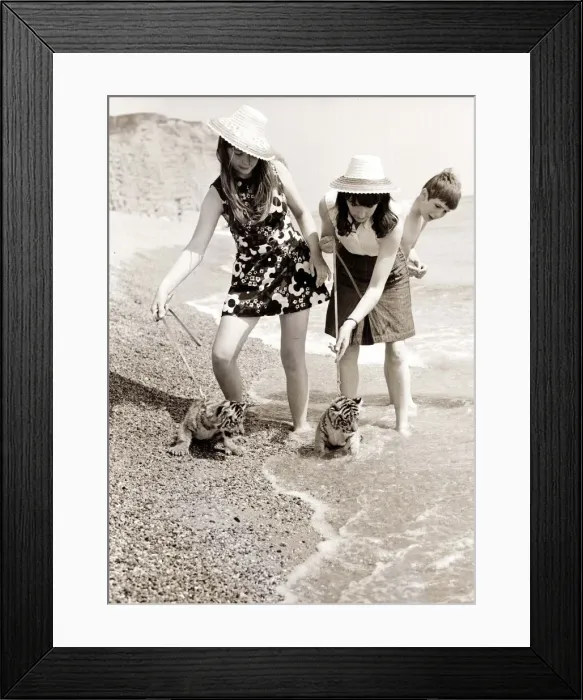 Framed Print : Young girls on the beach, playing in the water with two small tiger cubs Framed Print : Young girls on the beach, playing in the water with two small tiger cubs
