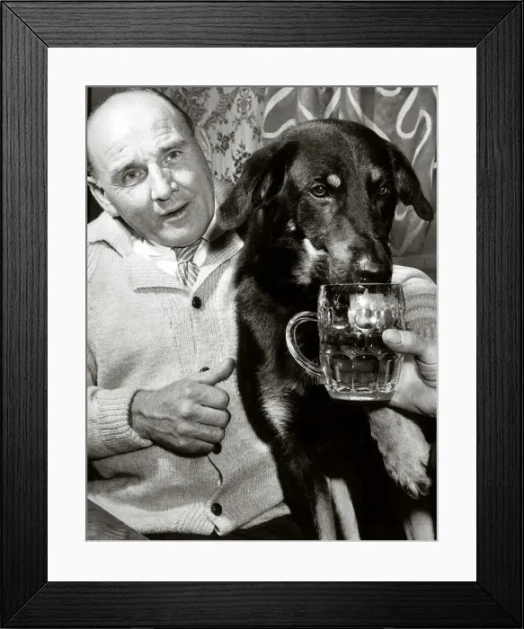 Framed Print : Henry Cooper and dog Ace enjoy a pint August 1964 Framed Print : Henry Cooper and dog Ace enjoy a pint August 1964