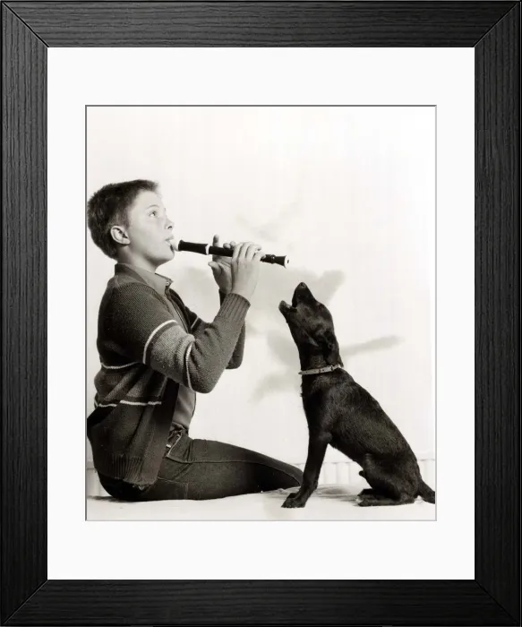 Framed Print : Amber the mongrel dog sings along with owner Wayne Smith