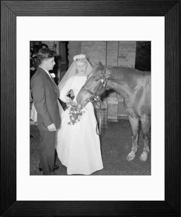 Framed Print : The guest of honour at a wedding in Pinner was a horse. He is the pet of the bride Sallie Framed Print : The guest of honour at a wedding in Pinner was a horse. He is the pet of the bride Sallie