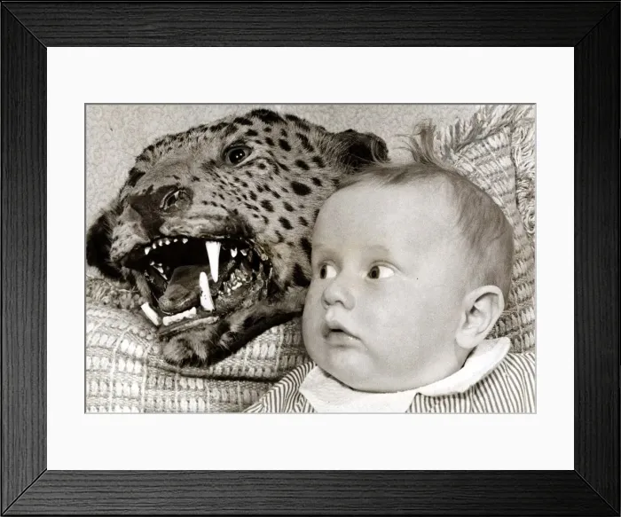 Framed Print : a Baby looks in shock at the scary leopard behind her - it doesn t matter that it Framed Print : a Baby looks in shock at the scary leopard behind her - it doesn t matter that it